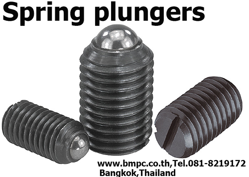 Ball plunger, Socket spring plunger, Index plunger, press fit plunger